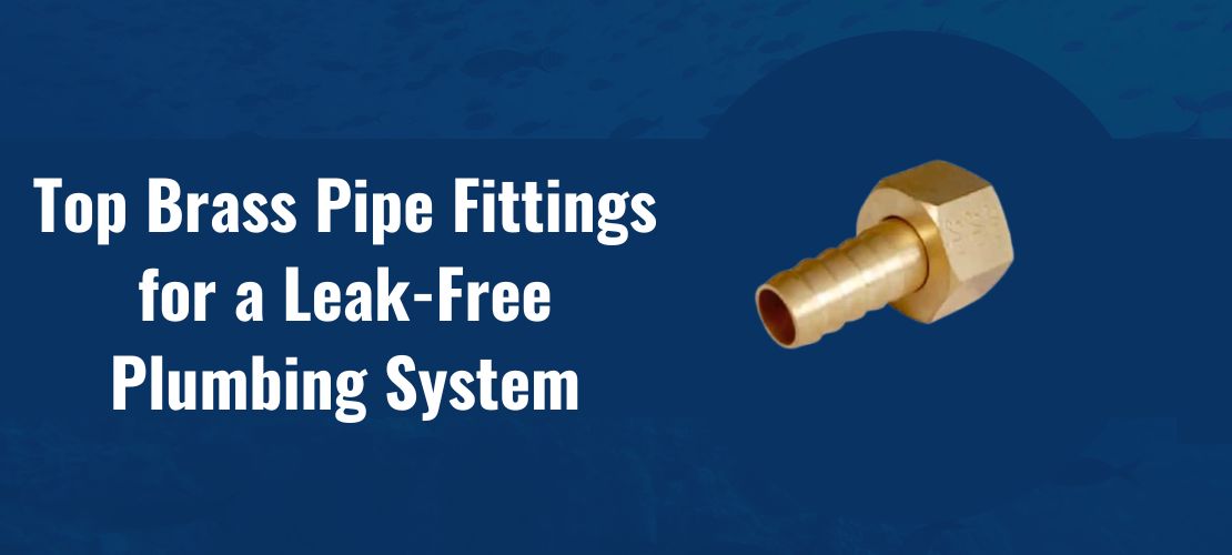Brass Plumbing Fittings